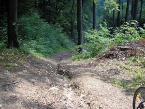 Obrázok