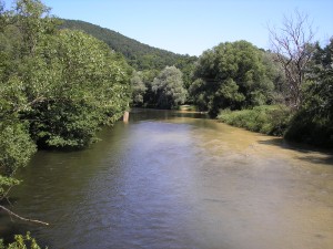 Obrázok