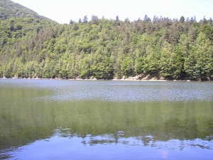 Obrázok